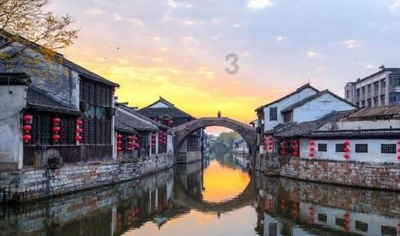 专业问答网站 你觉得公园不允许狗进入合理吗?,解决你的疑惑